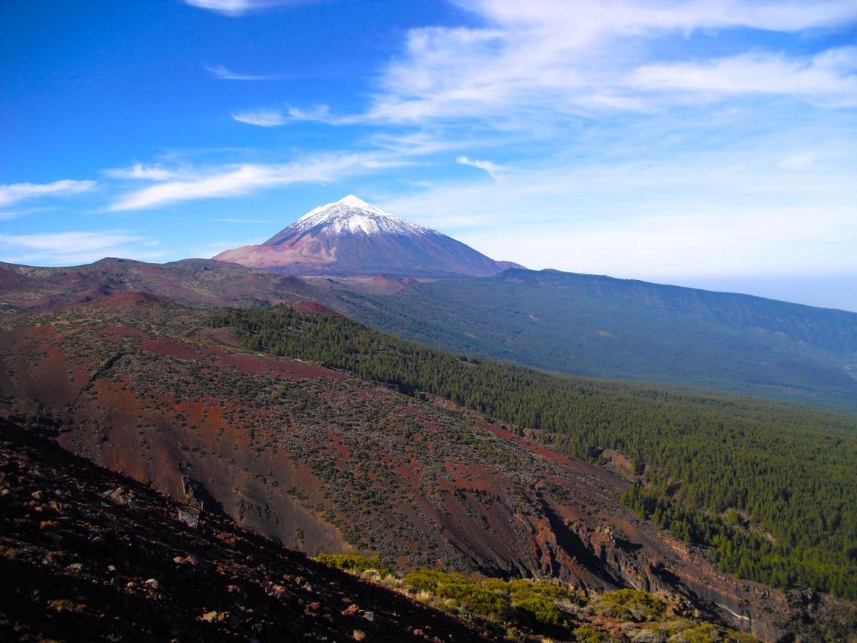 Luis Estudio Adeje Tenerife Sur By Hrtenerife Net Costa Adeje  Exteriör bild
