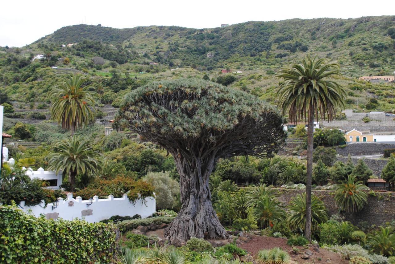 Luis Estudio Adeje Tenerife Sur By Hrtenerife Net Costa Adeje  Exteriör bild